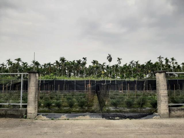 屏東鹽埔農地-4