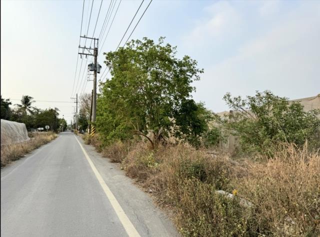 屏東新埤農地-5