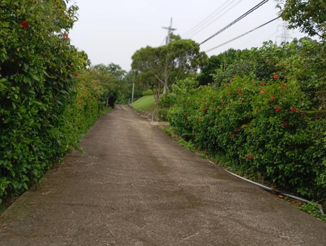 苗栗頭份農地-1
