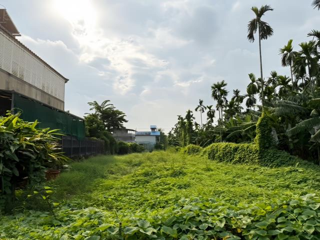 屏東竹田農地-0