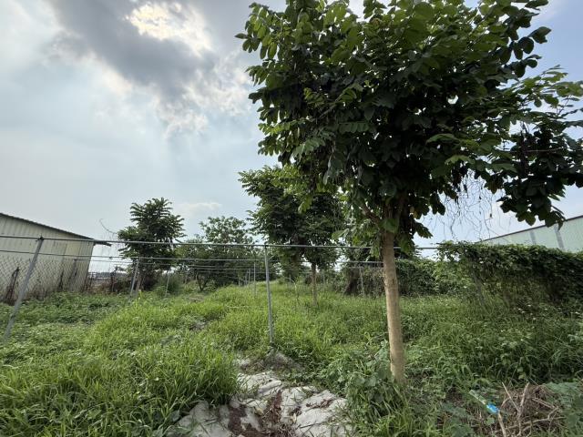 九如農地-3