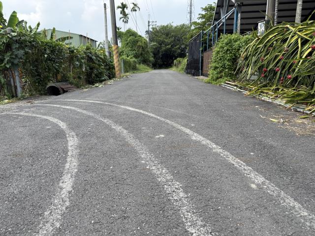 竹田農地-3