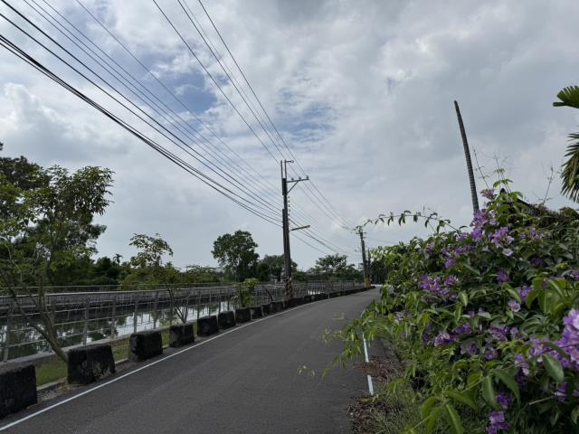 竹田農地-0