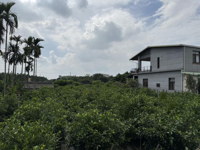 竹田農地-1