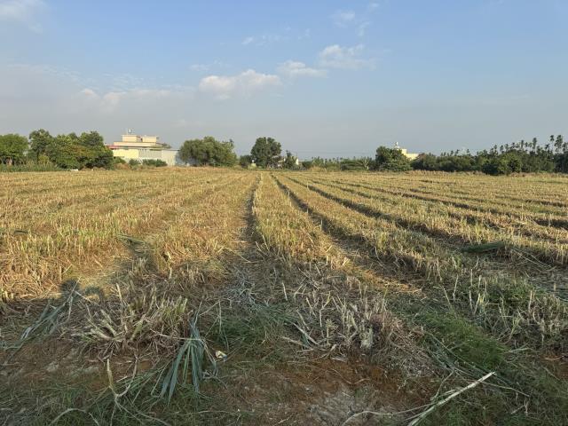 屏東萬丹農地-3