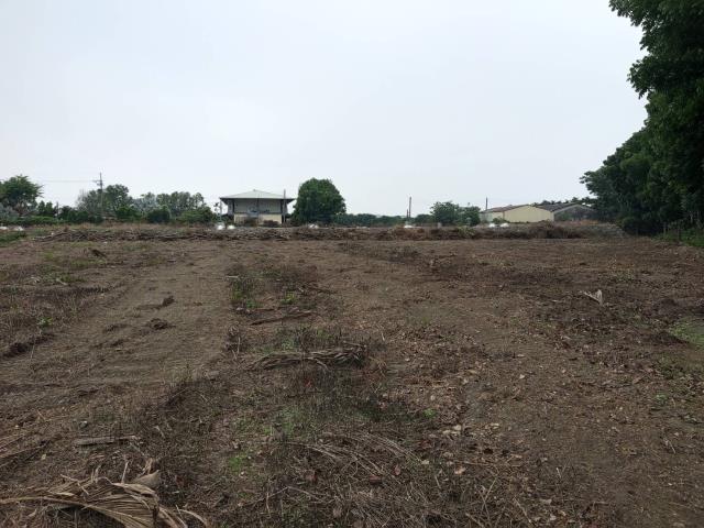鹽埔農地-0