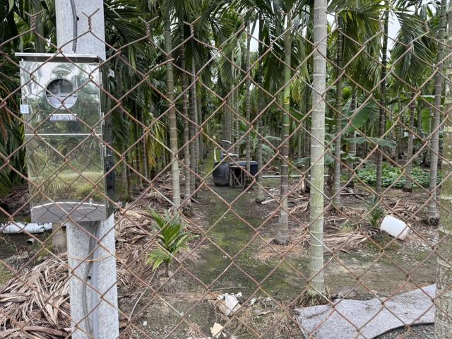 屏東內埔農地-1