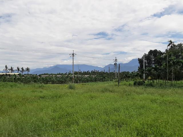 屏東內埔農地-2