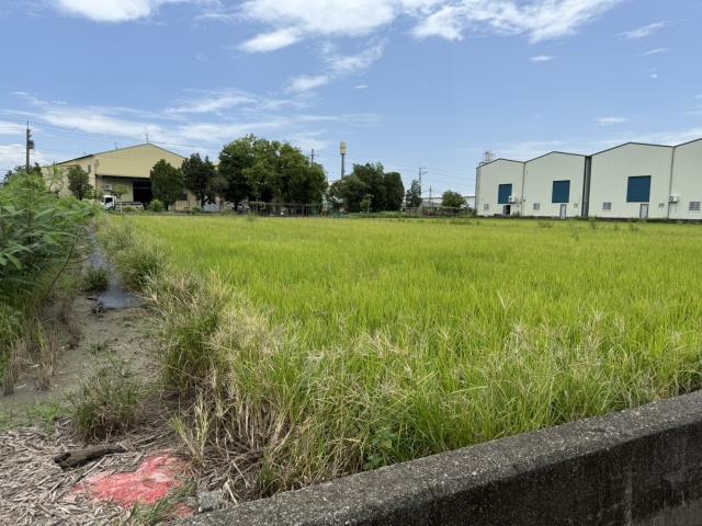 大寮農地-1