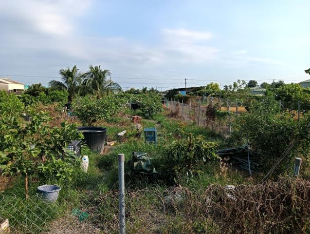 屏東農地-0