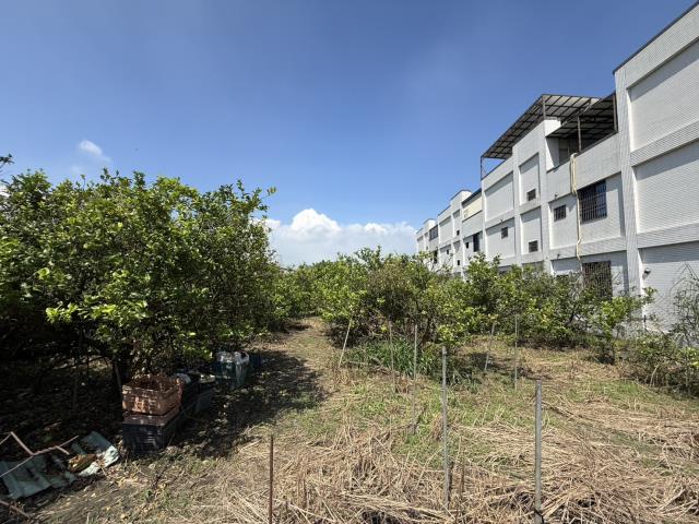 屏東九如建地-0