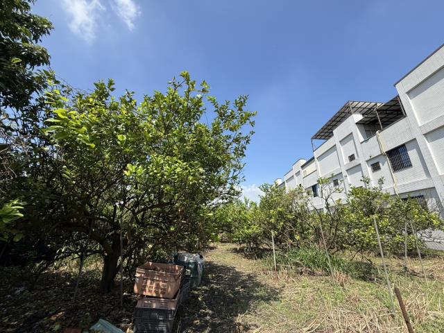 屏東九如建地-1